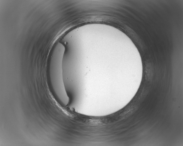 X0000076430794200611031838