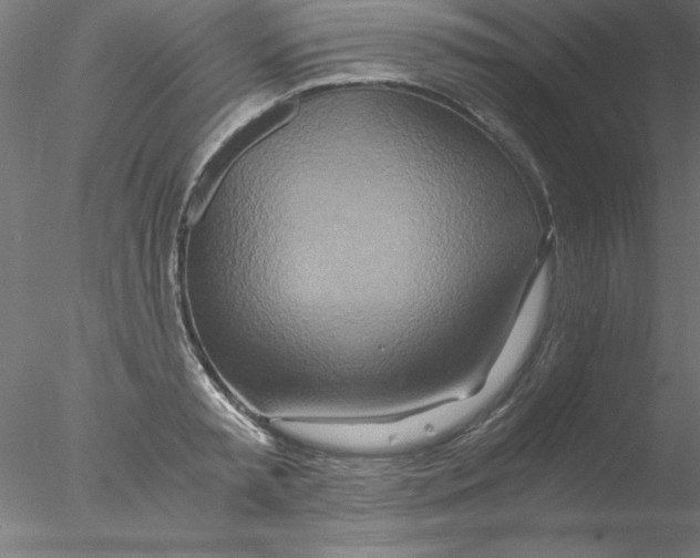 X0000076430797200611031838