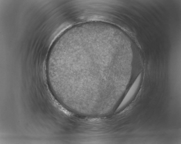 X0000076430798200611031838