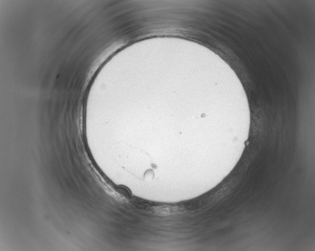 X0000076430804200611031838