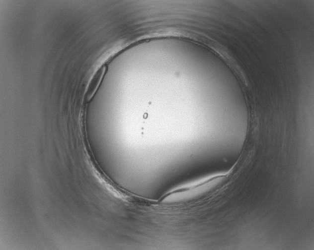 X0000076430805200611031838