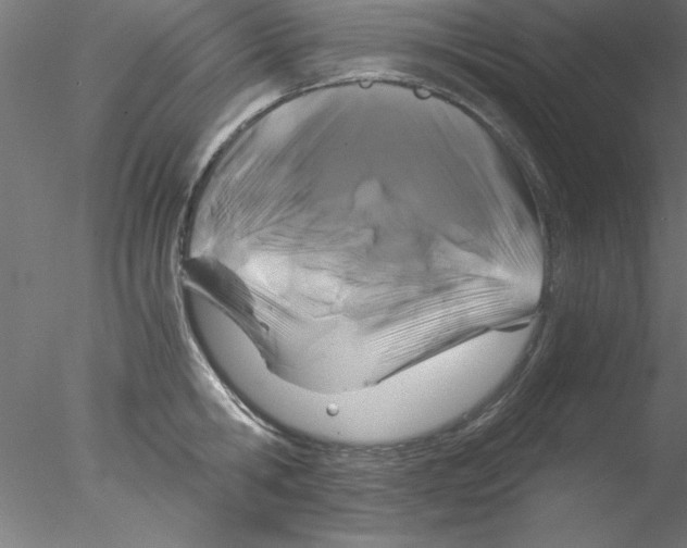 X0000076430806200611031838