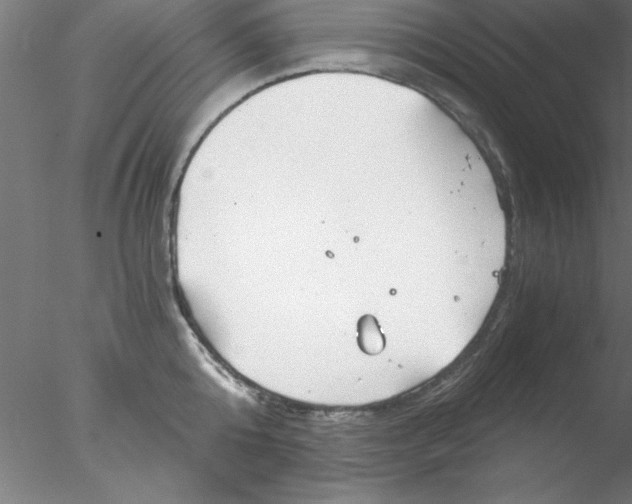 X0000076430808200611031838