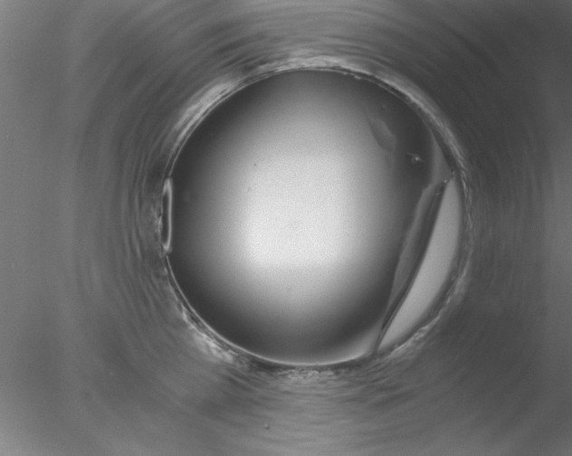 X0000076430809200611031838