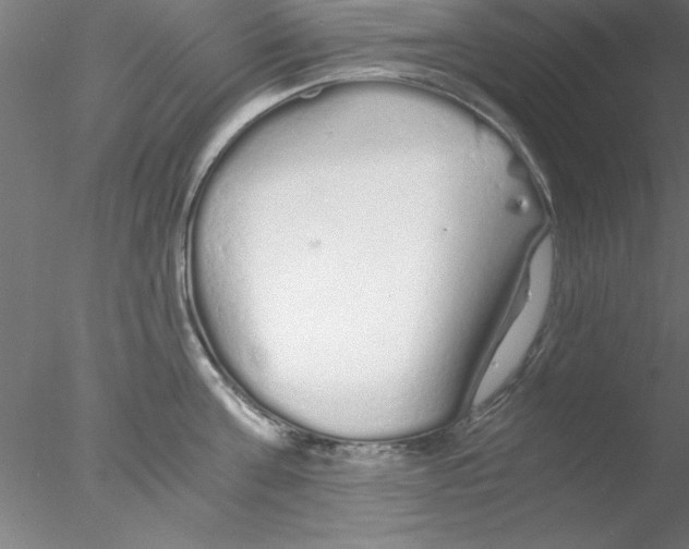 X0000076430811200611031838