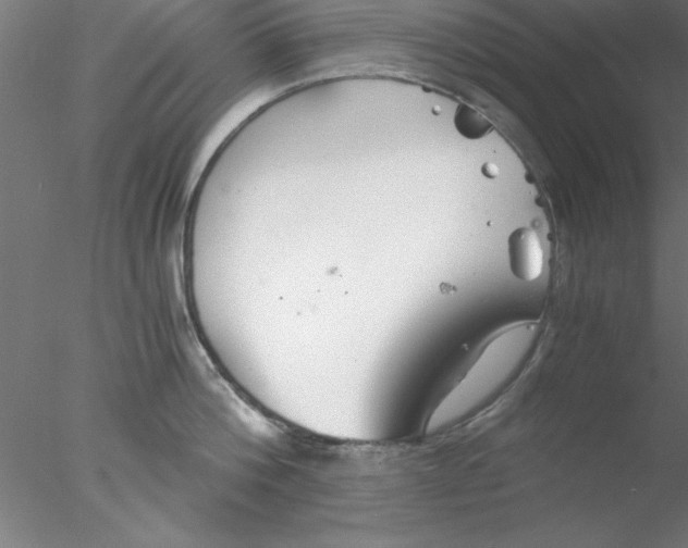 X0000076430812200611031838