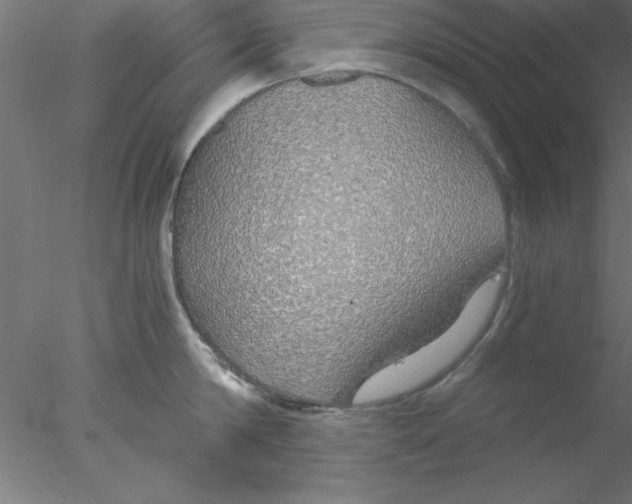 X0000076430814200611031838