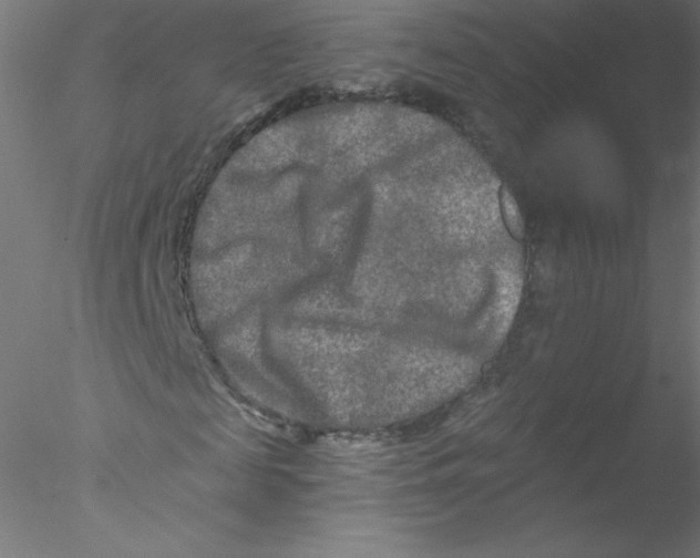 X0000076430817200611031837