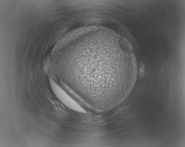 X0000076430819200611031837