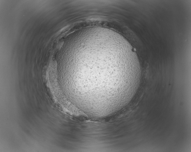 X0000076430821200611031837