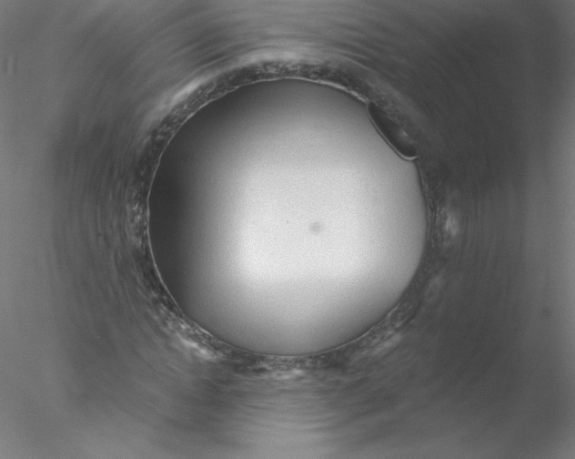 X0000076430822200611031837