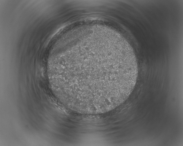 X0000076430823200611031837