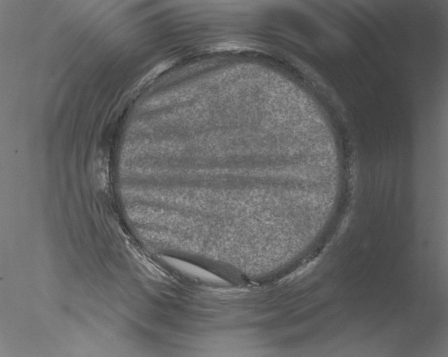 X0000076430825200611031837