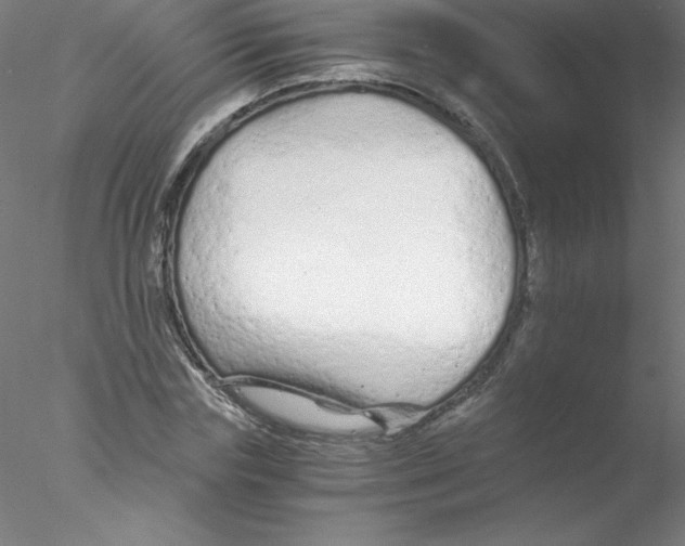 X0000076430827200611031837