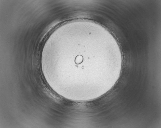 X0000076430828200611031837