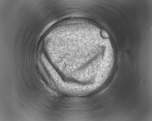 X0000076430829200611031837