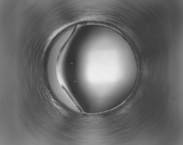 X0000076430830200611031837