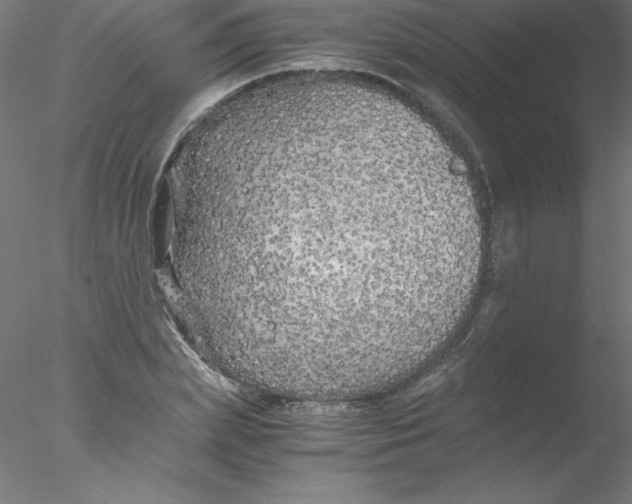 X0000076430831200611031837