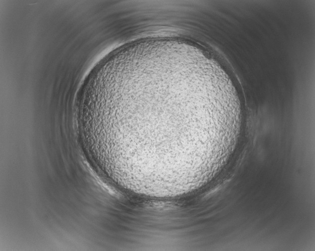 X0000076430835200611031837