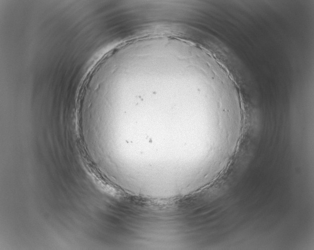 X0000076430836200611031837