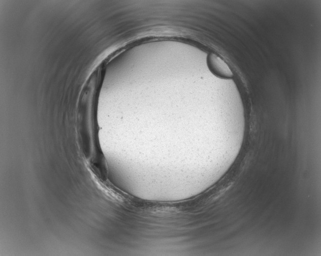 X0000076430837200611031837