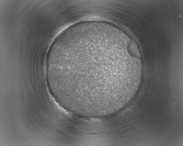 X0000076430839200611031837