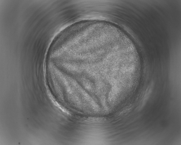 X0000076430840200611031837