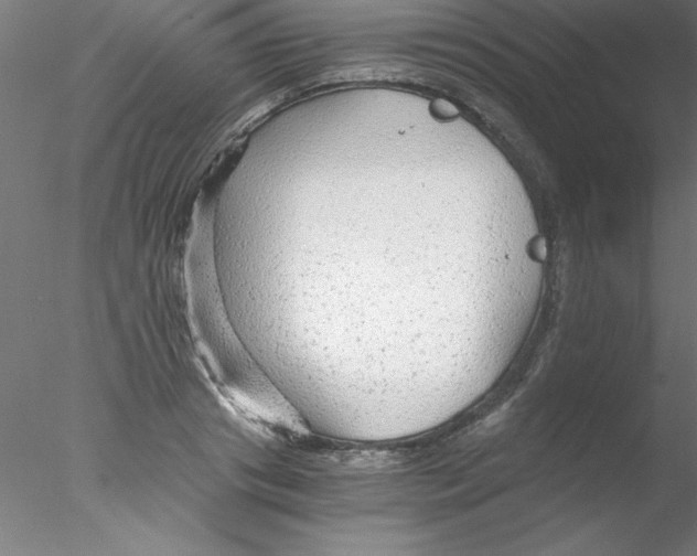 X0000076430841200611031837