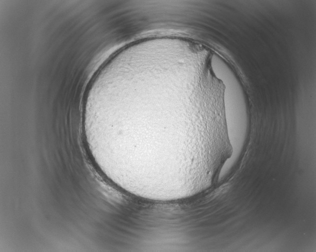 X0000076430844200611031837