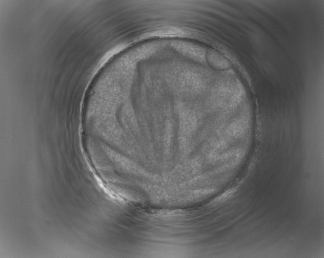 X0000076430845200611031837