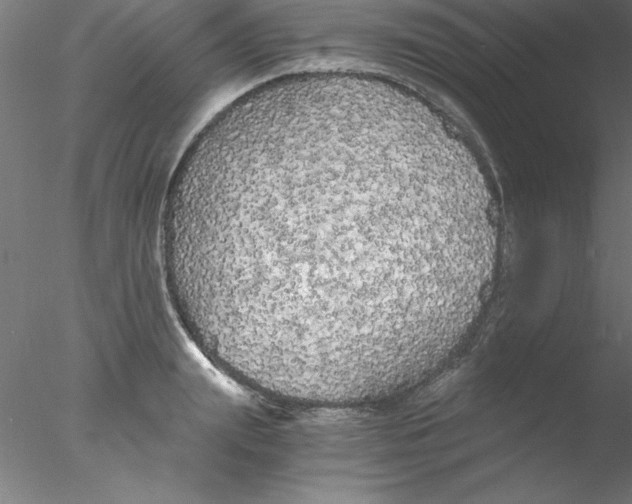 X0000076430847200611031837