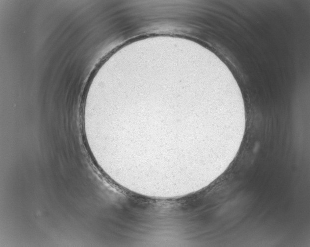 X0000076430848200611031837