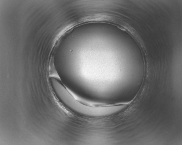 X0000076430850200611031837