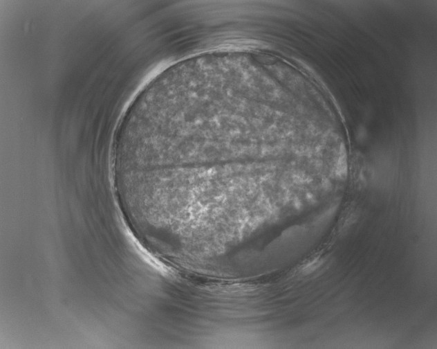 X0000076430851200611031837