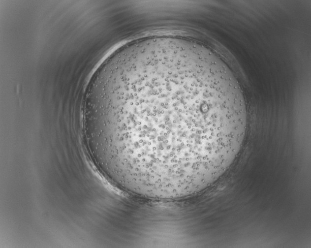 X0000076430852200611031837