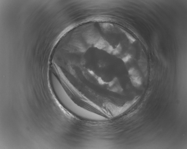 X0000076430853200611031837