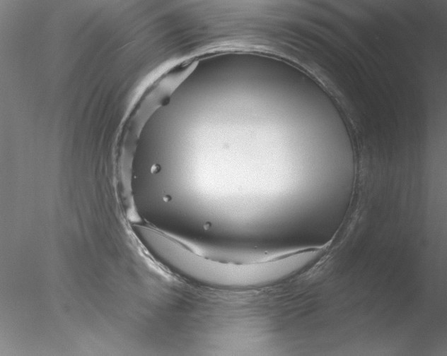 X0000076430854200611031837