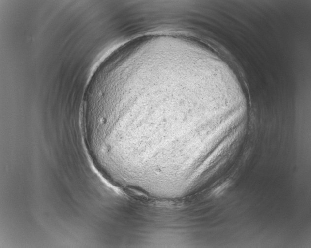 X0000076430855200611031837