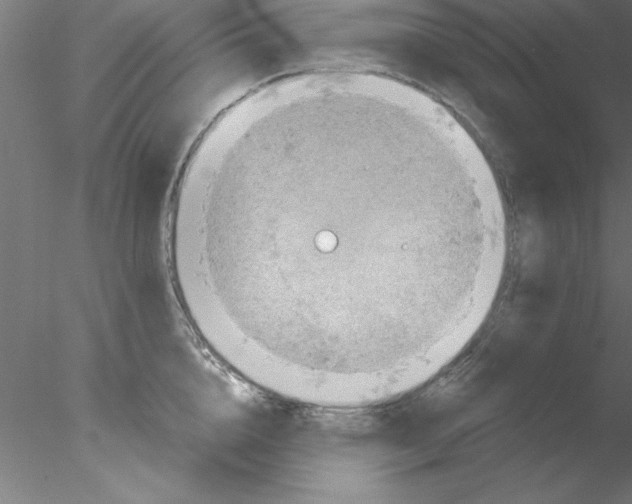 X0000076430856200611031837