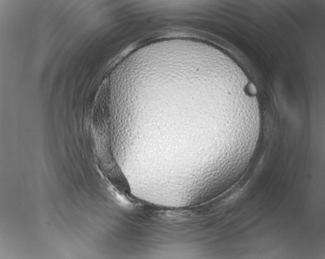 X0000076430857200611031837