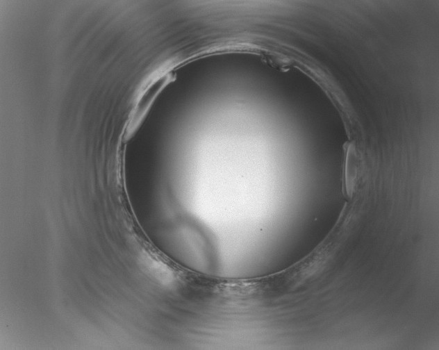 X0000076430858200611031837