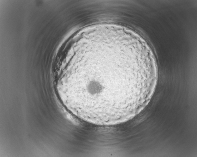 X0000076430859200611031838