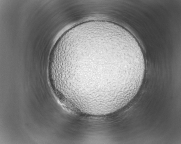 X0000076430861200611031838