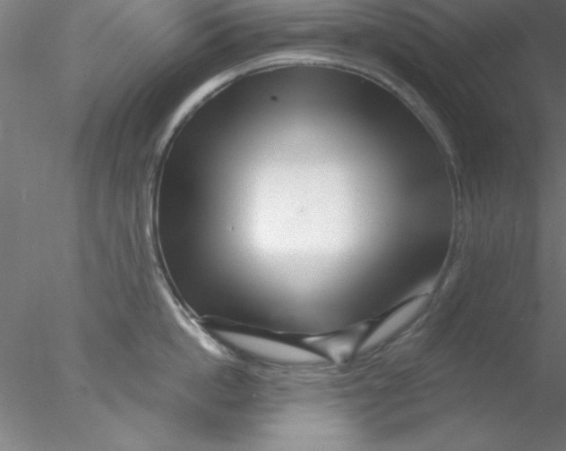 X0000076430862200611031838