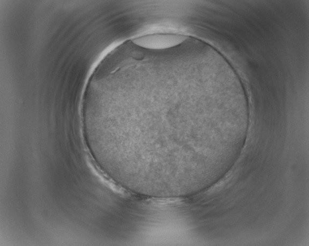 X0000076430864200611031838