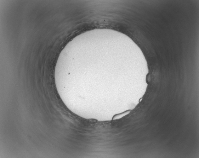 X0000076430865200611031837