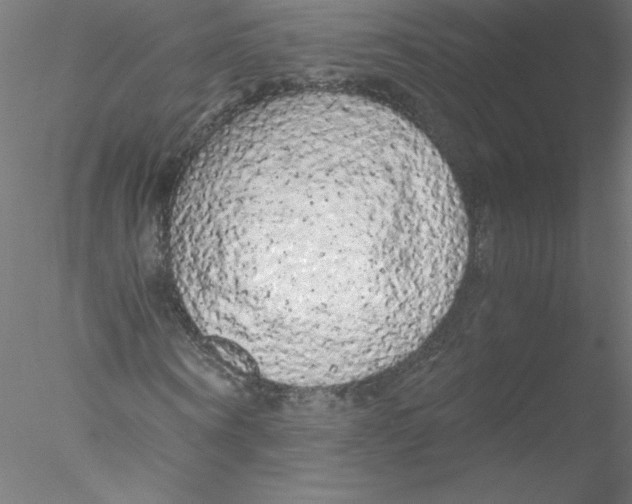 X0000076430866200611031837