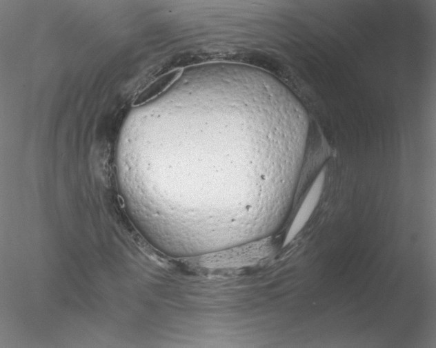 X0000076430867200611031837