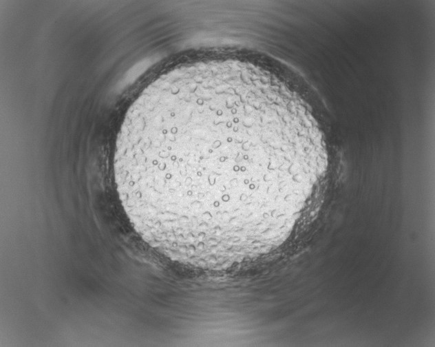 X0000076430871200611031837