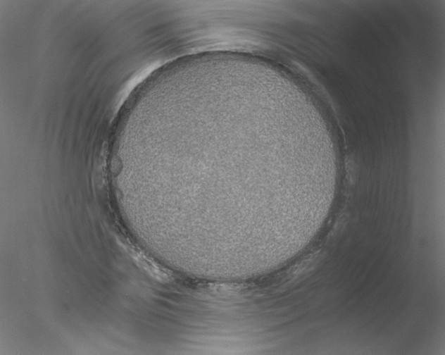 X0000076430875200611031837